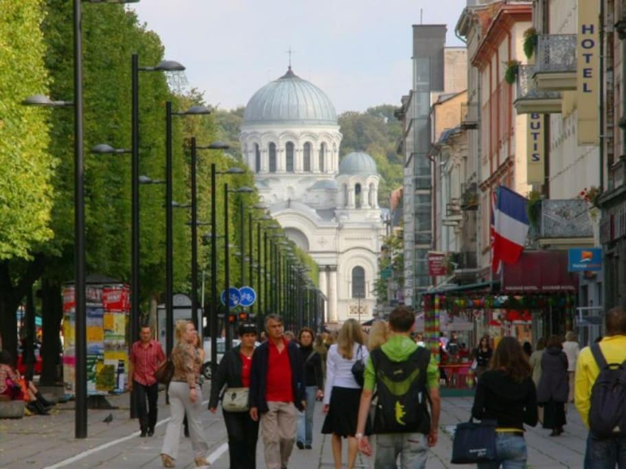 Modern Flat In Old Town Kaunas - Free Parking & Self Check-In Экстерьер фото